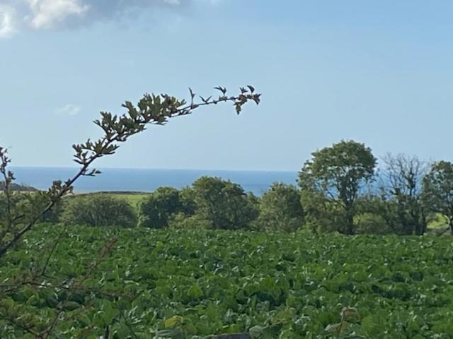 Elidyr Cottage - 3 Bedroom Cottage - 安姆罗斯 外观 照片